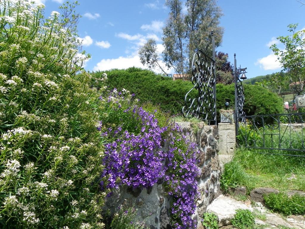 Bed and Breakfast Le Cabanon Thueyts Екстер'єр фото